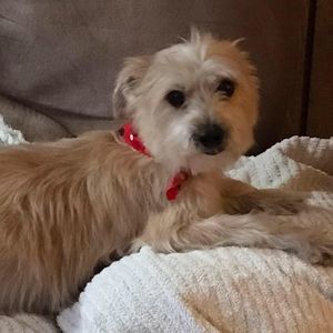 Meet your Posher, Pam